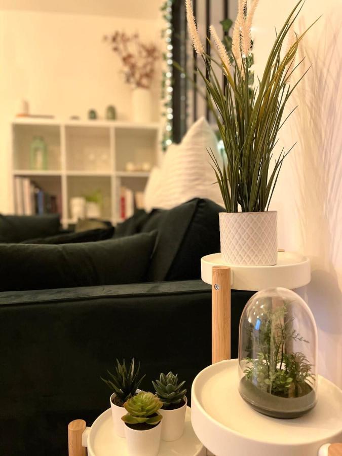 Appartement Petit cocon au cœur d'Annecy Extérieur photo